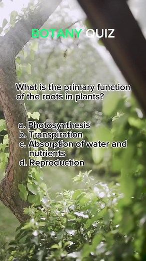 15K views · 482 reactions | Botany Quiz | Test your knowledge of plants and their fascinating world with this captivating botany quiz! #botany #plants #science #education #school #study #quiz #fyp #reels #fbreels #reelsfb #quizbee | Quiz Buddy | Facebook