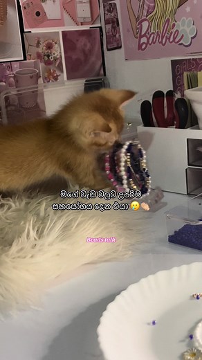 මම ළග නැත්තන් අඩන නිසා ළගට ගත්තම එයා 😫🥲 #beadedjewelry #beadstalk #beadnecklacesrilanka #