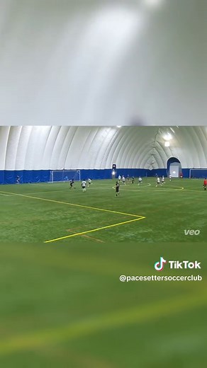 Exciting Soccer Goals and Celebrations