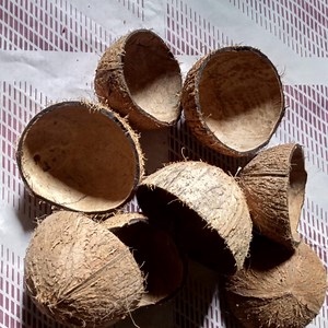 Natural Coconut Shell Halves for Candle, Beads, Jewelry, Ornaments, Craft , Buttons, Ear Rings, Necklace Making, Natural Home Decor - Etsy