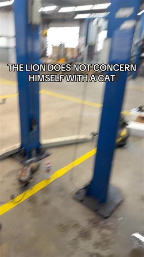 What is a catalytic converter?😌 #cat #decat #downpipe #f31 #fyp