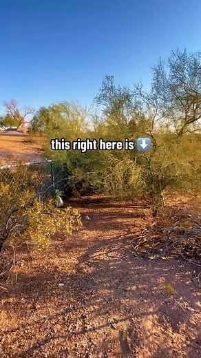 You need to rewatch this for the REAL name of the cache I just found! Signal the frog, aka the mascot was found in the wild desert heat of Arizona last week! This is not a typical jar of peanut b #Tempe #Scottsutter whatsoever! #Geocaching #Geocache #CacheMeIfYouCan #SignalTheFrog #Signal #Hullsome #Arizona #Phoenix | Linda Hawkyard | Facebook
