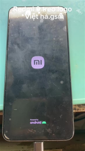 Redmi 9 Treo Logo Explained
