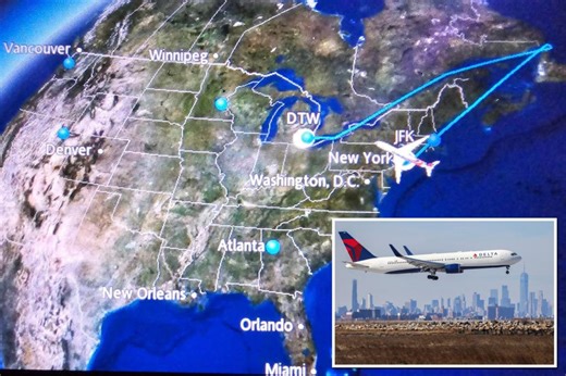 Delta’s ‘spoiled food’ that forced emergency NYC landing was covered in black mold: sources