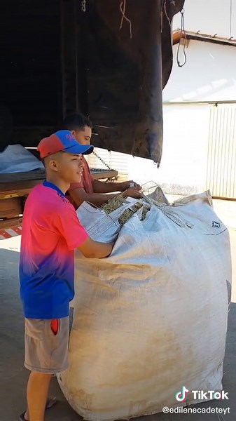 Loading Grain Feed into a Truck: Outdoor Activity
