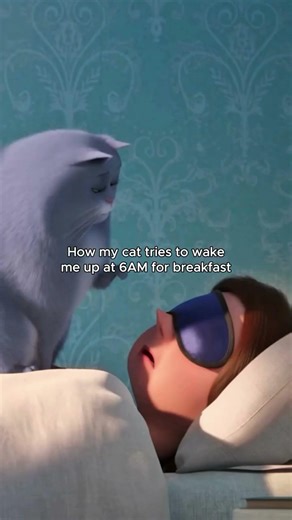 my cat me woke up try 6am🤣🤣 #funny #disney #memes #boyfriend #explore #f7nny