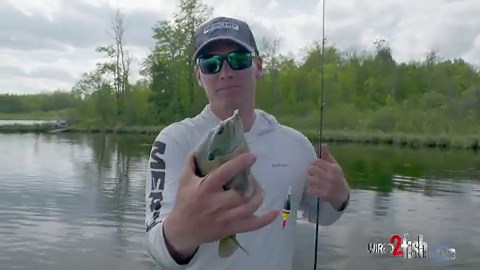 Bluegill Fishing Tips with Bobbers and Plastic Lures