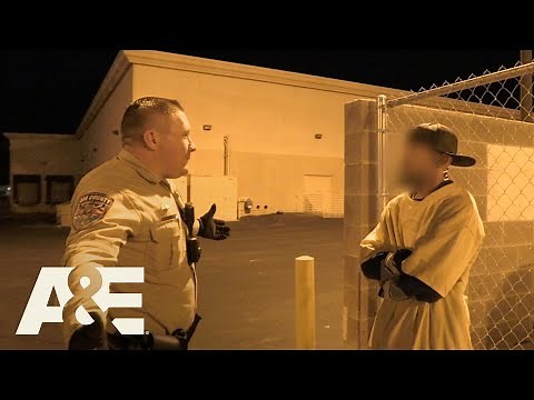 Live PD: Not Good at Crime (Season 3) | A&E