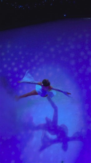 11K views · 83 reactions | New angle of Christmas On Ice: unlocked  How many times have you watched the ice show this holiday season? We've lost count already. 來⛸️ | Busch Gardens Tampa Bay | Facebook