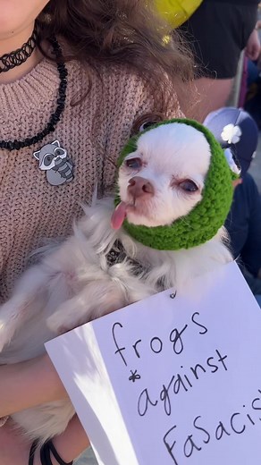 Barkus Dog Parade Takes Over the French Quarter