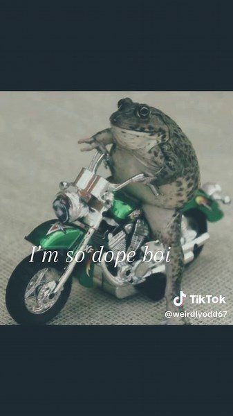 Discover the Coolest Frog Swag