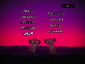 The Lion King Special Edition DVD 2003 (Both Discs)