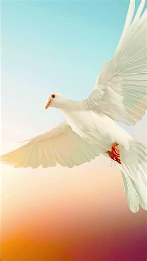 Prière de CONSÉCRATION à l'ESPRIT SAINT ✨ Prière au SAINT ESPRIT de DIEU #shorts