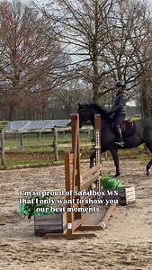 38K views · 734 reactions | Young horse riding is always a challenge 藍 3.5-year-old Sandbox WS (Kjento x George Clooney x Johnson) is the sweetest stallion and always tries to do his best, but here he clearly needed a bit of guidance. I almost couldn’t stop laughing  But just look at how much he improved! Isn’t he impressive? | Wendy Scholten Horses | Facebook
