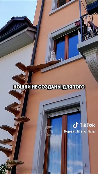 Great Life Union (@great_life_official)’s videos with оригинальный звук - Great Life Union