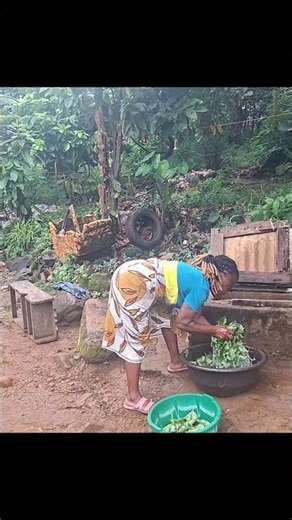 Cooking Delicious Rubbed Potato Greens with Rice in a Liberian Village