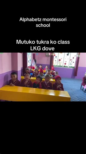 Alphabetz Montessori School LKG Class Overview