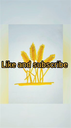 Wheat 🌾 darwing |How to darw wheat with colors#videoupload #drawing #shortsfeed