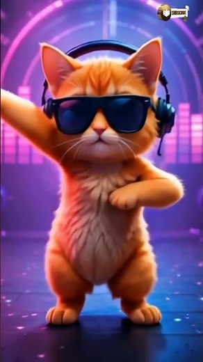 🔥 DJ Cat Dance 😺 | Funny Cool Cat Dancing Video 2025