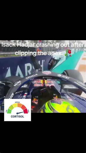 gasly just happy to get over eith the race 😭#racing #f1news #formula1 #f1 #f1crash