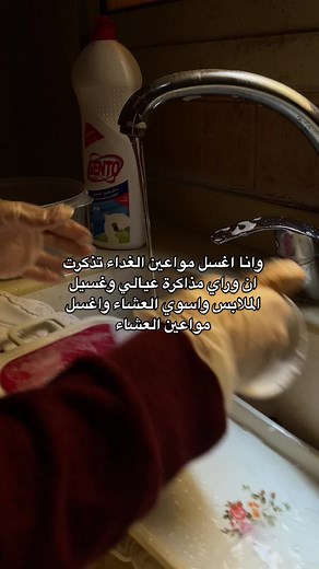 How to Clean a Bento Container Effectively