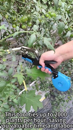 Revolutionary Plant Tying Machine – Ties 2000 Plants/Hour! | Must-Have Gardening Tool