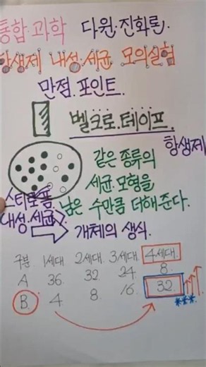 항생제 내성 세균 모의실험 1분 정리 / 벨크로테이프 스티로폼 스타이로폼 / 통합과학 다윈진화론