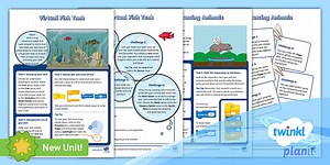 Computing: Coding with Scratch: Learning Loops: Year 3 Home Learning Tasks