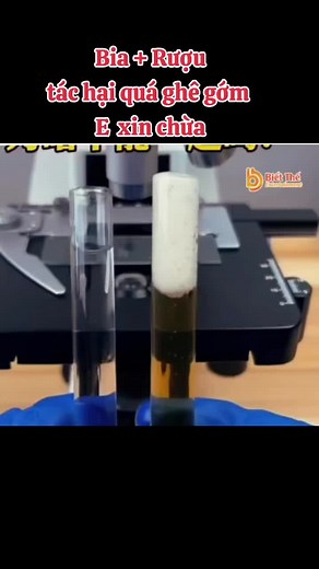 Hỗn hợp bia rượu quá ghê gớm#master2023bytiktok #letruongpc #master2024bytiktok