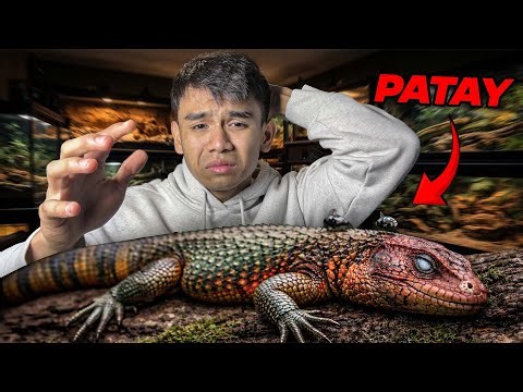 NA-MATAY ang ALAGA ko sa BG HOUSE - Unexpected