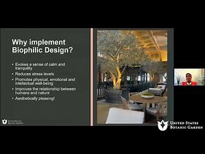 Basics of Biophilic Design and Materials (Online Lecture)