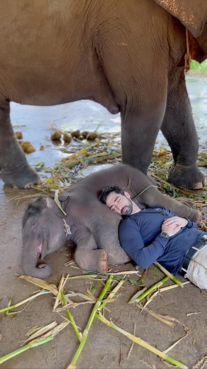 1.7M views · 90K reactions | For those of you who follow me, I know...