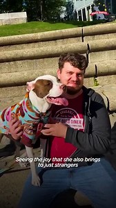 410K views · 10K reactions | Pittie wiggles by the door every morning until she can go out and play with her enormous ball 李 | The Dodo | Facebook