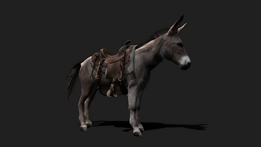 Realistic Animated Donkey 3D Model - 3D model by WildMesh 3D (@WildMesh_3D)