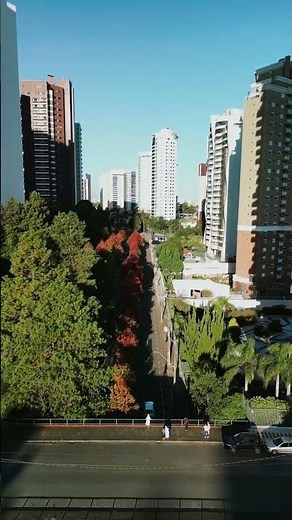 Ally Auto Finance: Your Guide to Flexible Vehicle Financing