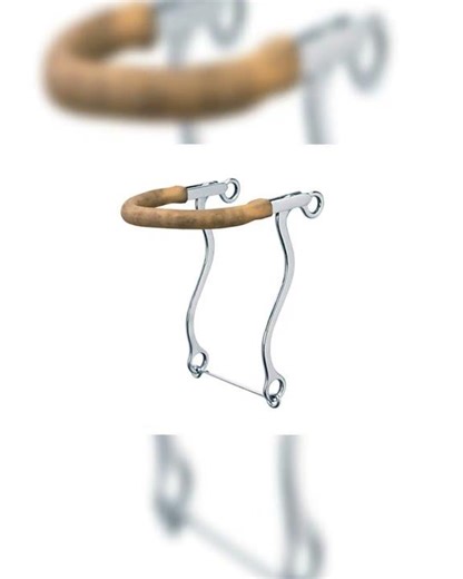 BIT, HACKAMORE, S.S.