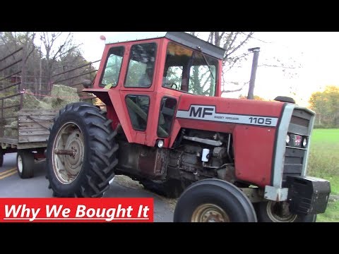 Massey Ferguson 1105 - Why We Bought It