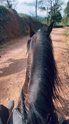 Videos de alejandro____alejandro (@alejandro____alejandro) con “sonido original - ALEX_MUSIC”