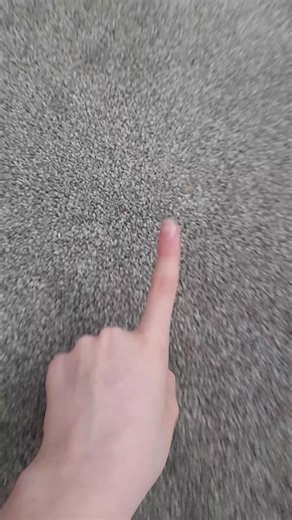 trading land pt1 #fidgets #squishys