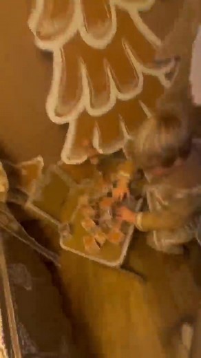 Visit the Giant Gingerbread Land at Norwood Public Library! All ages are welcome to explore this interactive art exhibit created by local artist Liza L. L. Paige during our hours of operation! Families are welcome to take their holiday photos in the Gingerbread Land. We’ll be holding our weekly storytimes here on Fridays at 10:30am. We’re also expecting a visit from Adirondack Santa on December 6th at 11:30am during the Friends Holiday Book Sale! Norwood Public Library is open: Tuesday 2-8pm Wed