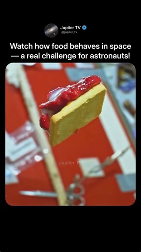 Food in Space 🌌🍕