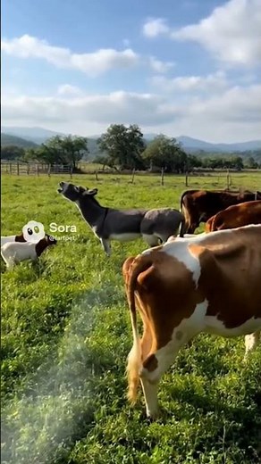 Cow’s Mega Fart Shocked Every Animal 😂💨#cowfunny #farmfunny #fartpet #funnyanimals #viralshort