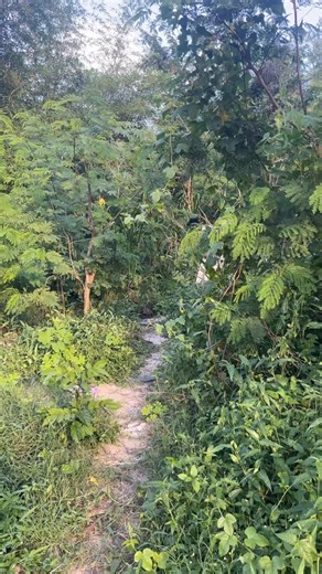 1K views · 153 reactions | Hi officer#fypシ #trendingreel #trendingvideo #fypviral | Cheulee Tz | Facebook