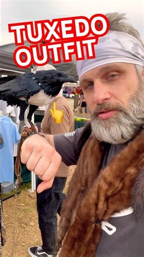 This Bird Looks Like It’s Wearing a Tuxedo… From Africa