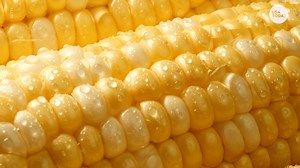 Corn prices are increasing, so what does that mean for Americans?