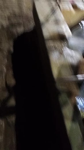 Vidéos de Youcef Said (@youcef.said41) avec son original - Youcef Said