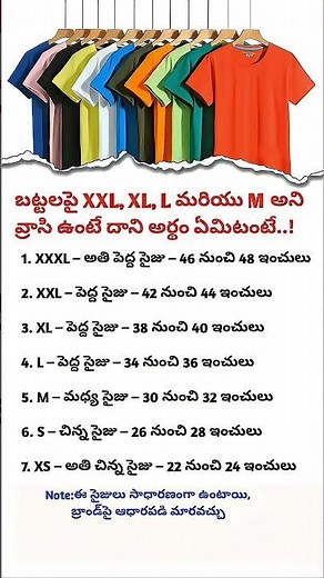 T Shirt Size Guide What XXL, XL, L, M, S, XS Mean Inches Chart Explained Clothing Size Info 10