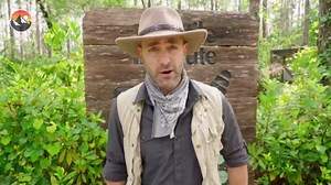 Black vs. Green: Milking Deadly Mambas! (FINAL Snake Milking)