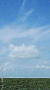 Background of Africa Plains and Blue Sky, African Landscape Scenery Vertical Video for Social Media, Instagram Reels and Tiktok in Serengeti National Park in Tanzania