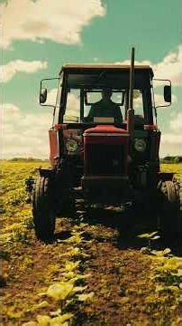 História s Agrostodolou - ZETOR 6911